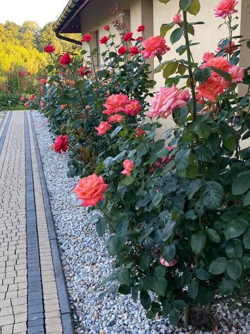Apartament Zacisze Ustroń Exteriör bild